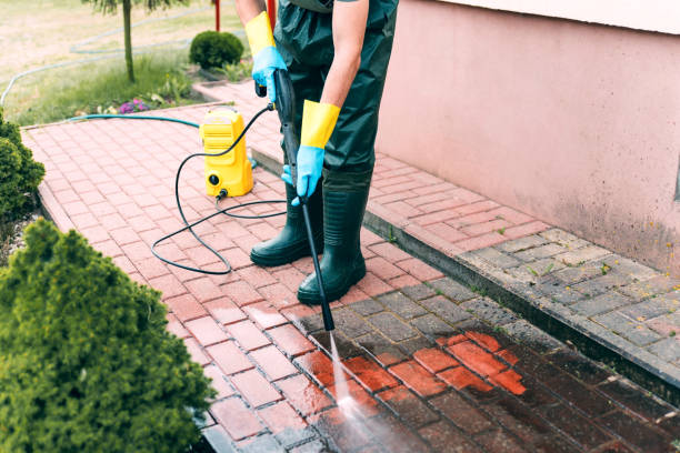 Best Roof Power Washing Services  in Dobson, NC